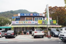 [하동맛집] 섬진강 재첩 정식 ; 일진식당 _ 화개장터맛집 재첩회+재첩국