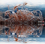 * * .*★*. 서리꽃 .*★*. * *