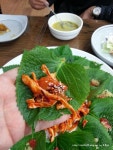 [대구/칠곡맛집] 강릉집 :: 풀코스로 즐기는 우럭회무침