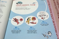 우당탕 동물 농장의 그림 한자 | 벼리 강 글 | 그레이트북스(단행) - 예스24