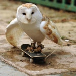 신나는 주말 ㅎ