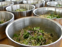 어느 날, 딸이 달라졌다 | 이경수 | 미디어윌M&amp;B(MediaWillM&amp;B) - 예스24