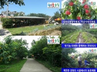 강원도 양양 바다가 가까운 복숭아과수원펜션민박 계곡 시골체험여행지~
