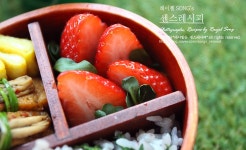 드디어!! 봄나들이 도시락 만들기 레시피, 예쁜 메뉴 추천