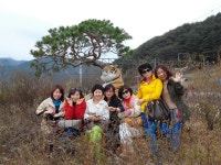 태백협곡 열차 구간(구문소 벽화마을