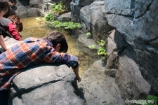 한화 아쿠아플라넷 일산 다녀온 이야기 들려드릴께요.