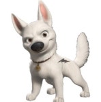 강아지가 꼬리를 흔드는 이유