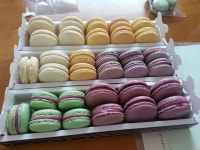 마카롱 만들고 왔어요♥