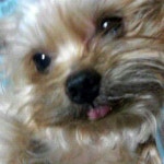 울 깨비 자랑한번해봐여