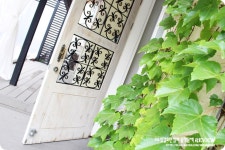 청담 베이비 스튜디오, 강남 프로필사진 촬영 : 청담 붐 스튜디오