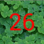 새송이버섯, 떡, 유과발표~♡