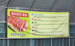 [춘천 송어회 맛집]푸짐한 양의 송어회맛이 최고인 송암골평창송어