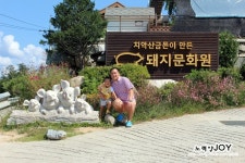[강원도 원주] 원주 돼지문화원에서 돼지랑 놀면돼지ㅎㅎ