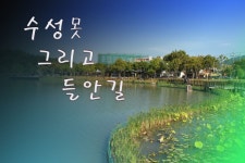 [대구 수성구]수성못 그리고 들안길 대구여행