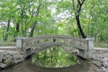 [경남여행/함양가볼만한곳] 상림공원, 상림숲 :: 4계절 산책하기 너무 좋은 곳
