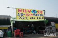 [경기도 화성/제부도] 대하도 먹고 소금도 받고, 대하철에만 오픈하는 제부도 수성2호점, 제부도 대하구이, 제부도 맛집