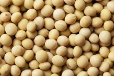 선물용된장 전통된장구입 할때는 역시 송하된장