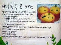 콩이랑 아이랑 알콩달콩한 실내놀이터