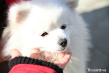 [대구 여행] 옹기종기 행복 마을 / 대구 벽화마을 / 대구 가볼만한 곳