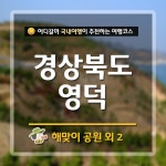 [어디갈까] 영덕 해맞이공원 & 풍력발전단지 & 강구항