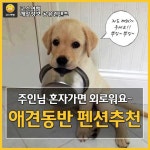 [어디갈까] 애견동반 펜션추천