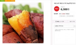 [쿠팡]새순농장 해남고구마 3kg 한입기준 /무료배송