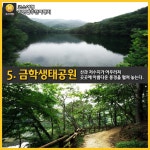[어디갈까] 충청남도 공주 여행지 추천 BEST8