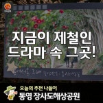 [어디갈까] 별그대 그곳! 장사도해상공원