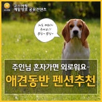 [어디갈까] 애견동반 펜션추천
