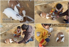 아이와 함께 갈만한 곳 : 강원도 평창 대관령 아기동물농장
