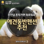 [어디갈까] 애견동반 펜션추천