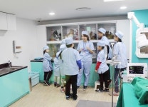 방학때 아이와 가고 싶은 곳 리틀소시움 (동물병원,뷰티살롱,베이커리)