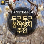 [어디갈까] 두근두근 봄여행지 추천