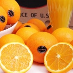 [위메프] 5천개한정 블랙라벨 오렌지 290원