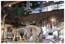 태안 가볼만한곳 : 공룡박물관 (좋아요!)