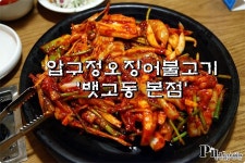 압구정 맛집 / 낙지오징어전문 뱃고동 본점