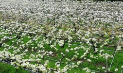 하동 화개장터를 찾아서