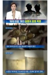 뒤끝 없기다?