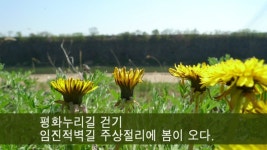 DMZ 평화누리길 걷기, 임진적벽길 주상절리에 봄이 오다.