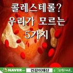 ■ 콜레스테롤의 비밀 5가지