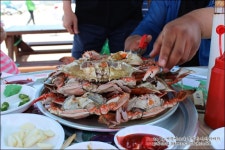 영광설도항나들이:)푸짐한해산물을 맛보다