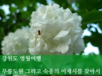 영월 가볼만한곳, 영월 요선정, 요선암, 영월펜션 해질녘강물소리 [영월여행]
