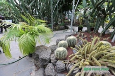 제주도 여행 일출랜드