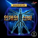 인체의 신비