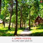 [어디갈까] 피톤치드 가득~! 편백나무숲으로 떠나는 건강여행~!
