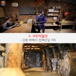 [어디갈까] 시원한 바람따라 떠나는 태백여행~!