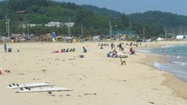 [휴가인증샷] 여름 휴가 동해(기사문항,하조대해수욕장) 서핑과 연어 잡으러 다녀왔어요~