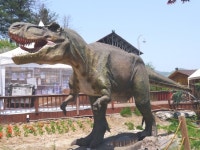 한국인이 꼭 가봐야할 한국관광지 100선 포천 허브아일랜드 