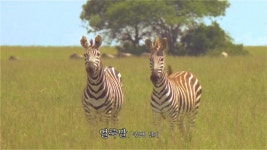 YAP 광고 ㅋㅋ재미나여 ㅋㅋㅋㅋㅋㅋㅋㅋㅋㅋ
