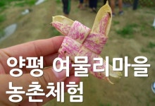 양평 여물리마을 농촌체험마을에서 여름휴가 즐기고 왔어요.